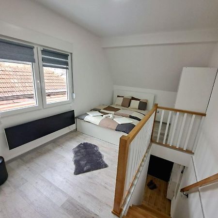 Mini Duplex Apartman Dusanovac Extérieur photo