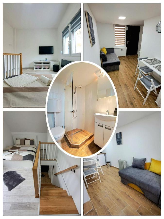 Mini Duplex Apartman Dusanovac Extérieur photo